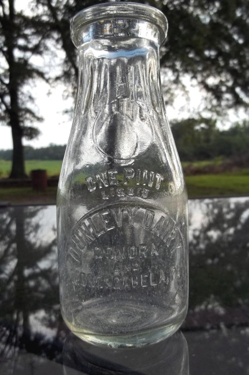 dunlevy_milk_bottle